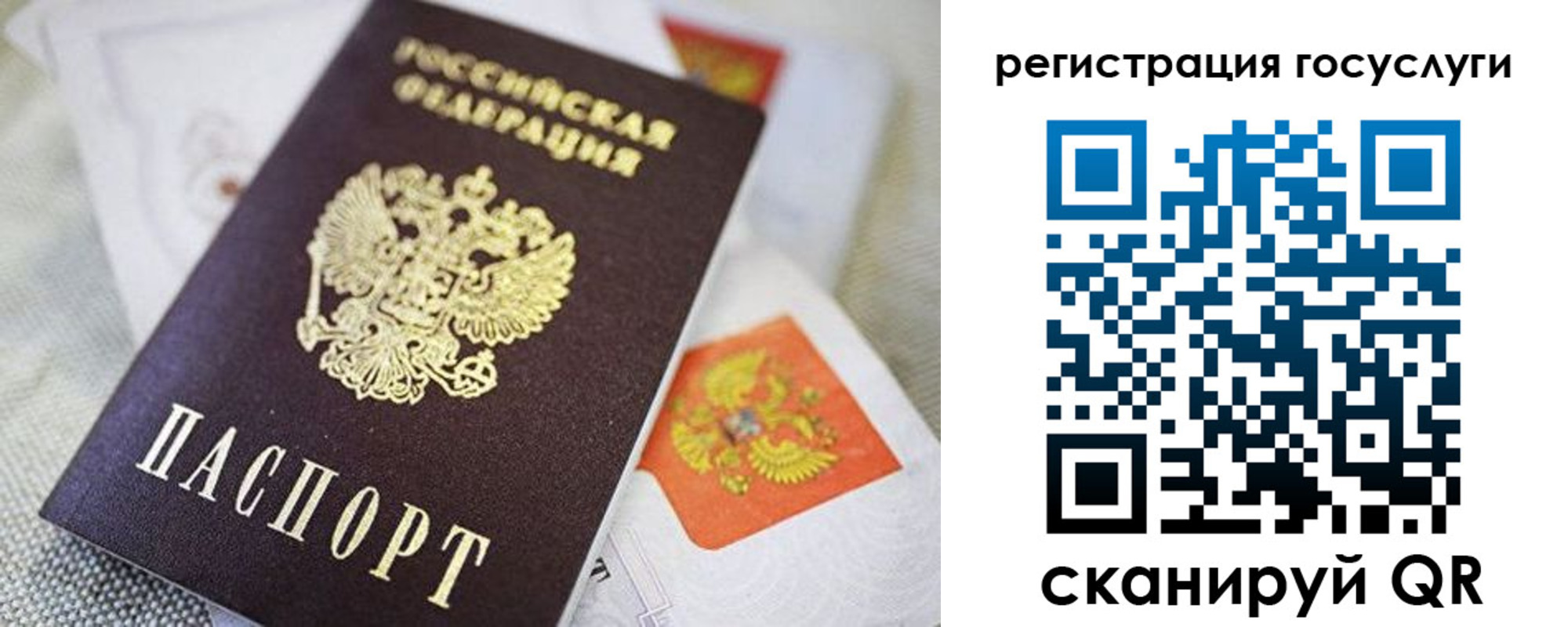 прописка паспорт в Петровске